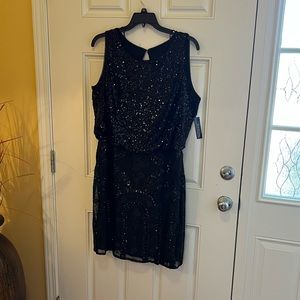 R&M RICHARDS Sequined Lace dress 16W NWT